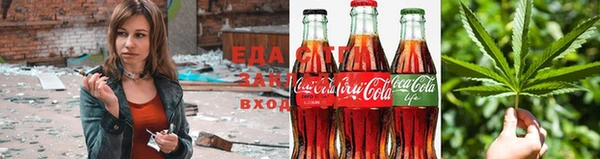 сатива Надым
