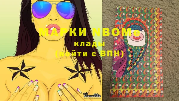сатива Надым