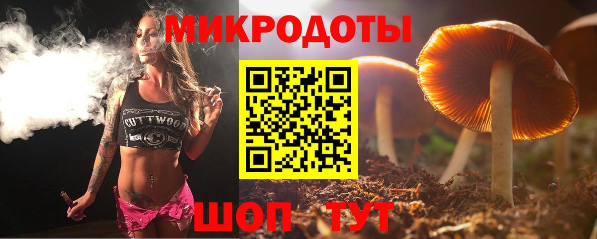 где найти   Псилоцибиновые грибы Psilocybe  Вход с VPN  Уссурийск 